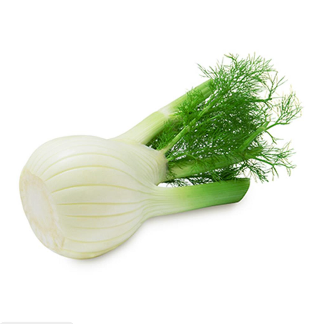 Fennel (1 ea)