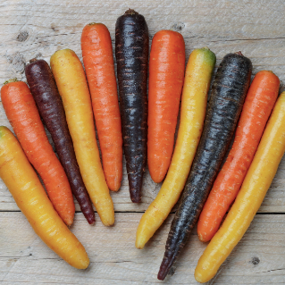 Carrots, Rainbow (2 lb)
