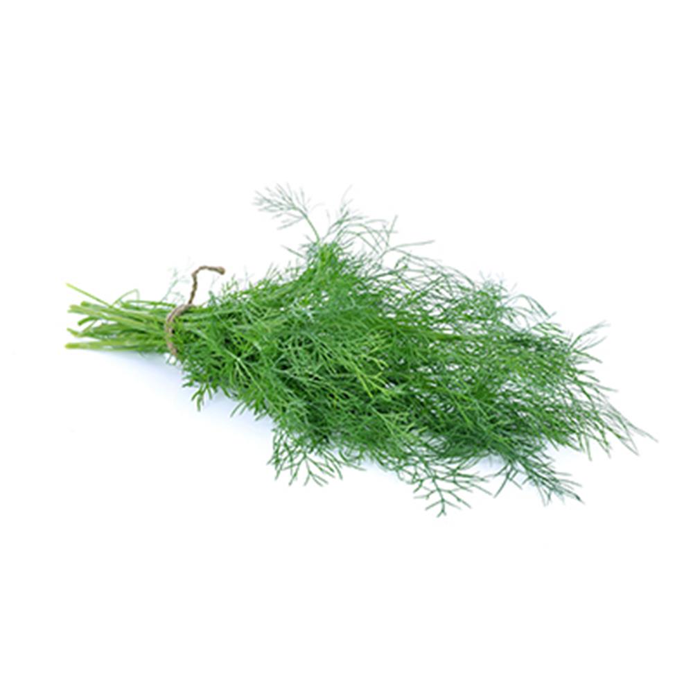 Dill, Fresh (1 bunch)