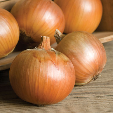 Onions, Yellow (3 lb)