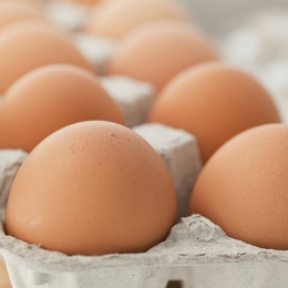 Eggs, White or Brown (1 dz)